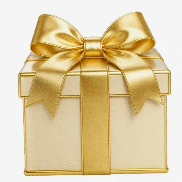 Wrapped gift box — Spinfin