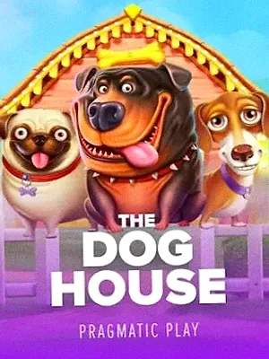 The Dog House at Spinfin