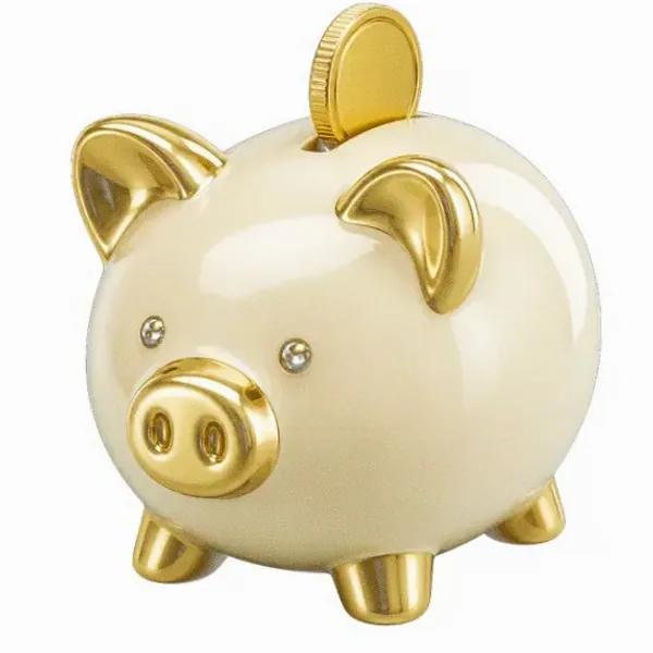 Piggy bank — Spinfin