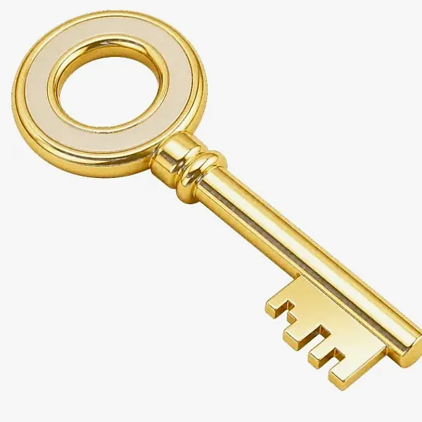 Round-headed key — Spinfin