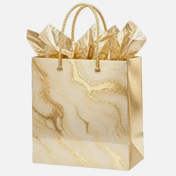 Paper gift bag — Spinfin