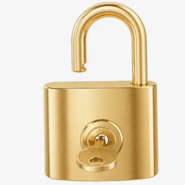 Open padlock — Spinfin