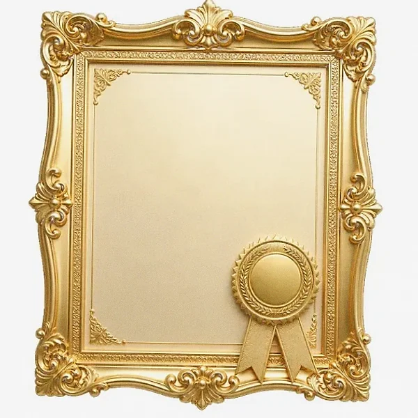 Framed certificate — Spinfin