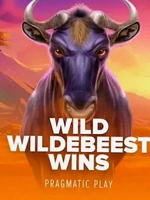 Wild Wildebeest Wins at Spinfin