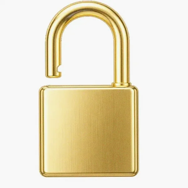 Padlock — Spinfin